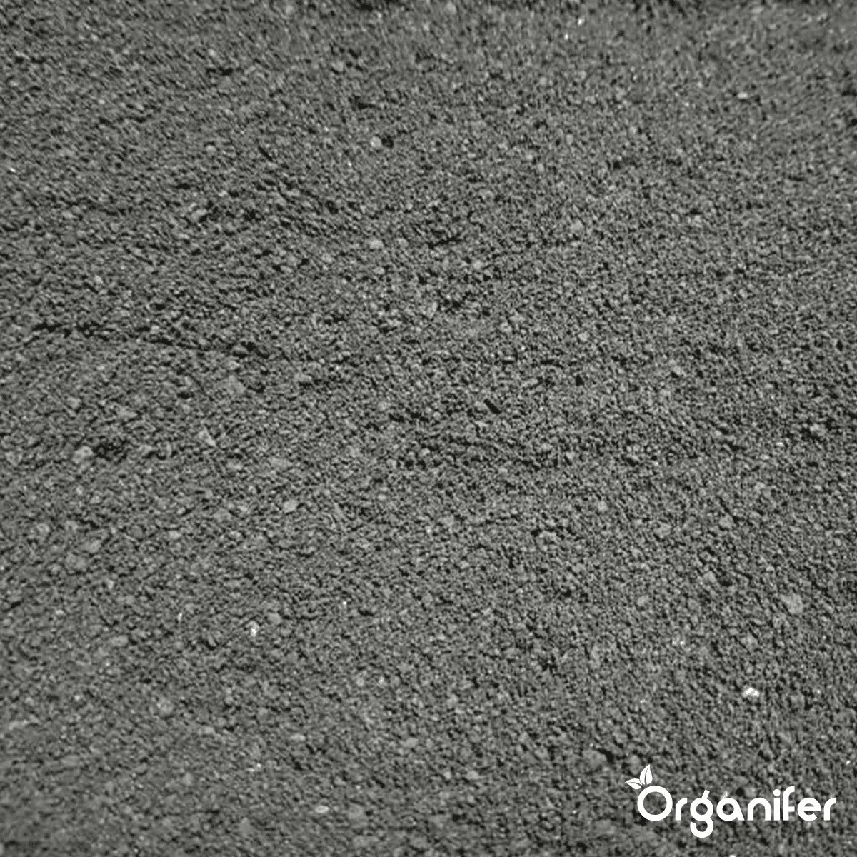 Organifer Lava Grit from Eifel Primordial Rock (20 kg for 200 m2) 8719958997806 4