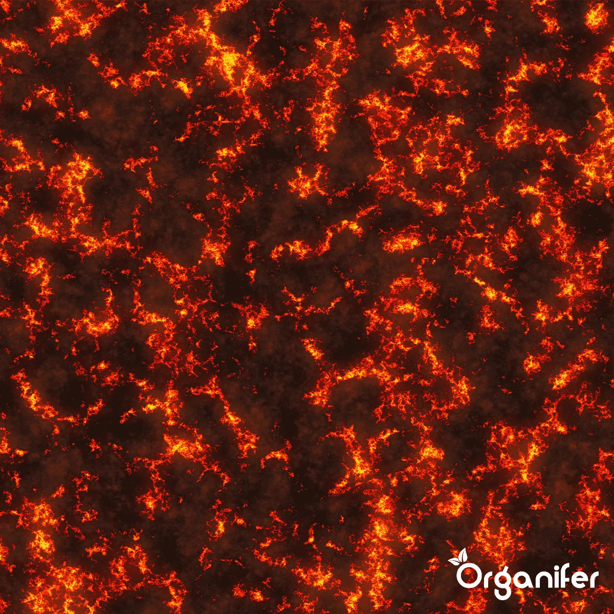 Organifer Lavameal from Eifel Primordial Rock (20 kg - For 200 m2) 8719958999350 4