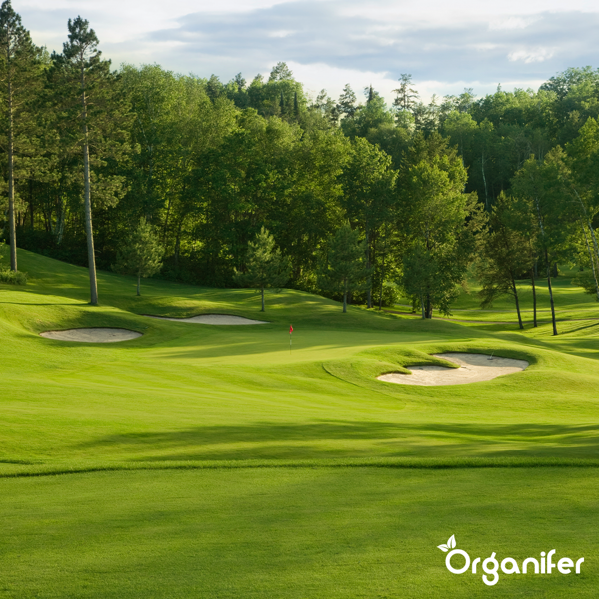 Organifer Lawn Fertiliser All-In-One (10 kg - for 200 m2) 8719958999169 12