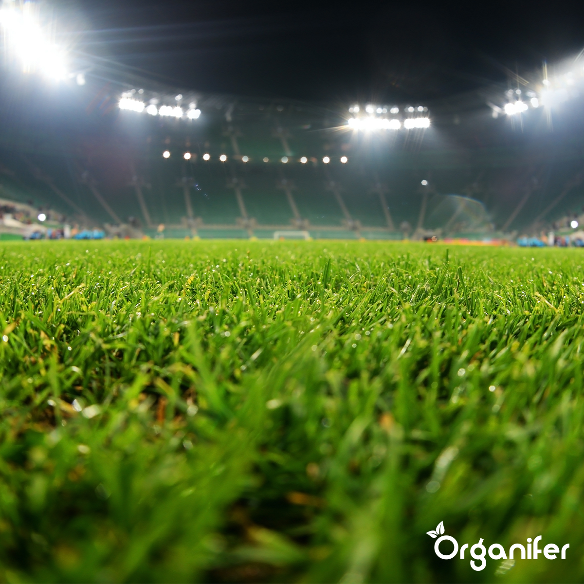Organifer Lawn Fertiliser All-In-One (20x - 400 kg - for 8.000 m2) 8719958999091 17