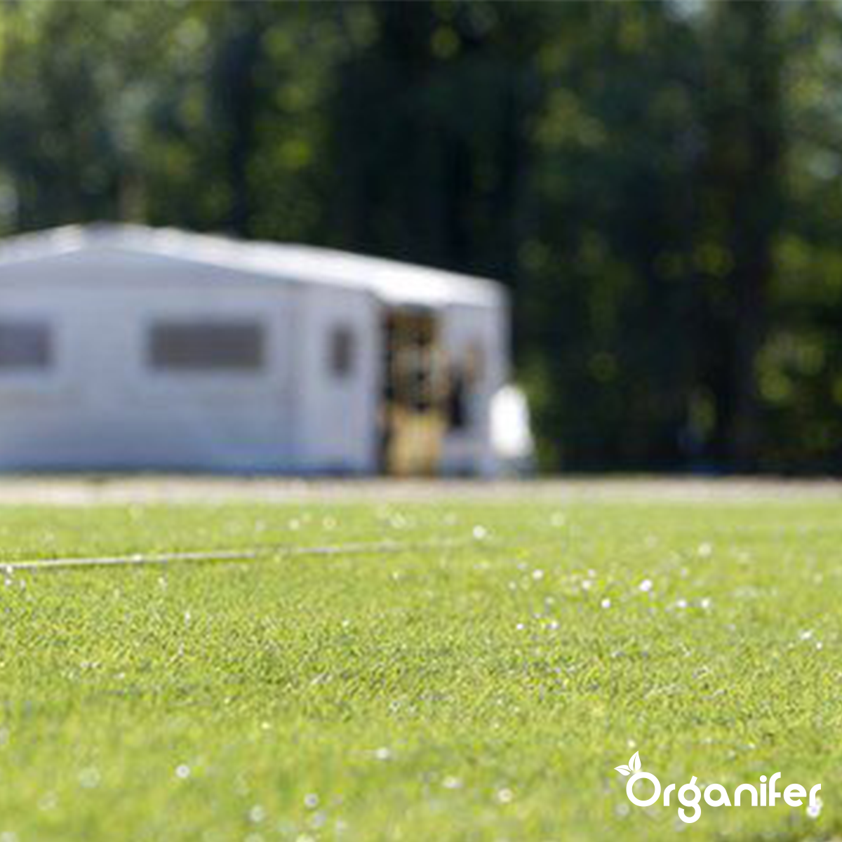 Organifer Lawn Repair Seed - Resilient (10x = 150 kg for 7500 m2) 8719958990852 14