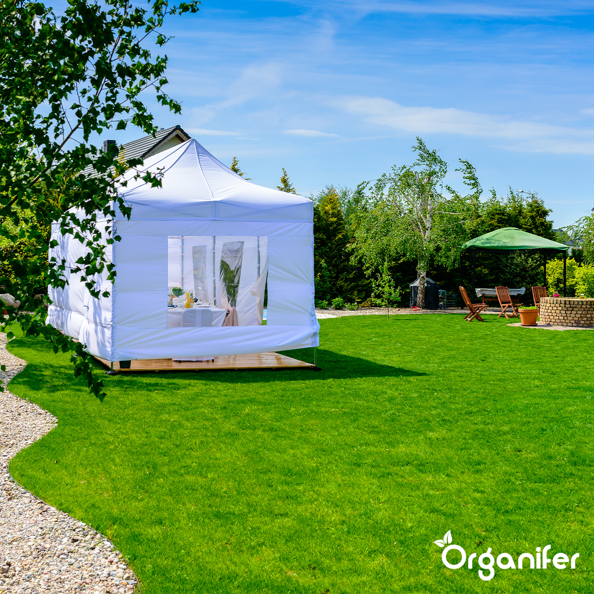 Organifer Lawn Repair Seed - Resilient (10x = 150 kg for 7500 m2) 8719958990852 5