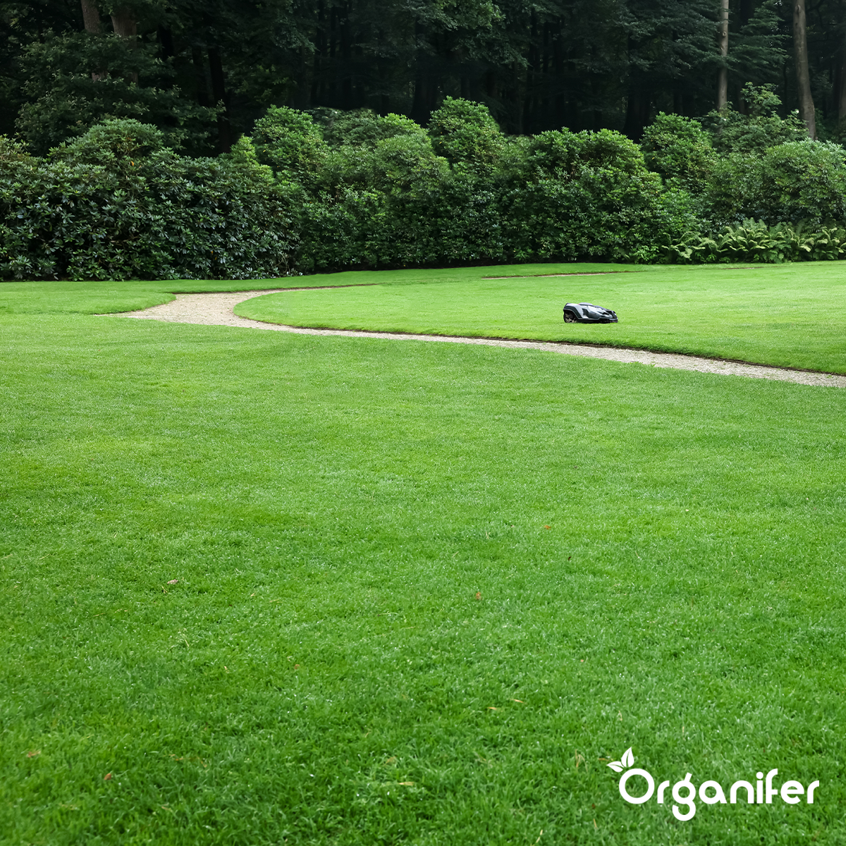 Organifer Lawn Topdressing - Mix with Mycorrhiza and Rhizobacteria (12x = 600 Litres- for 600 m2) 8719958990708 8