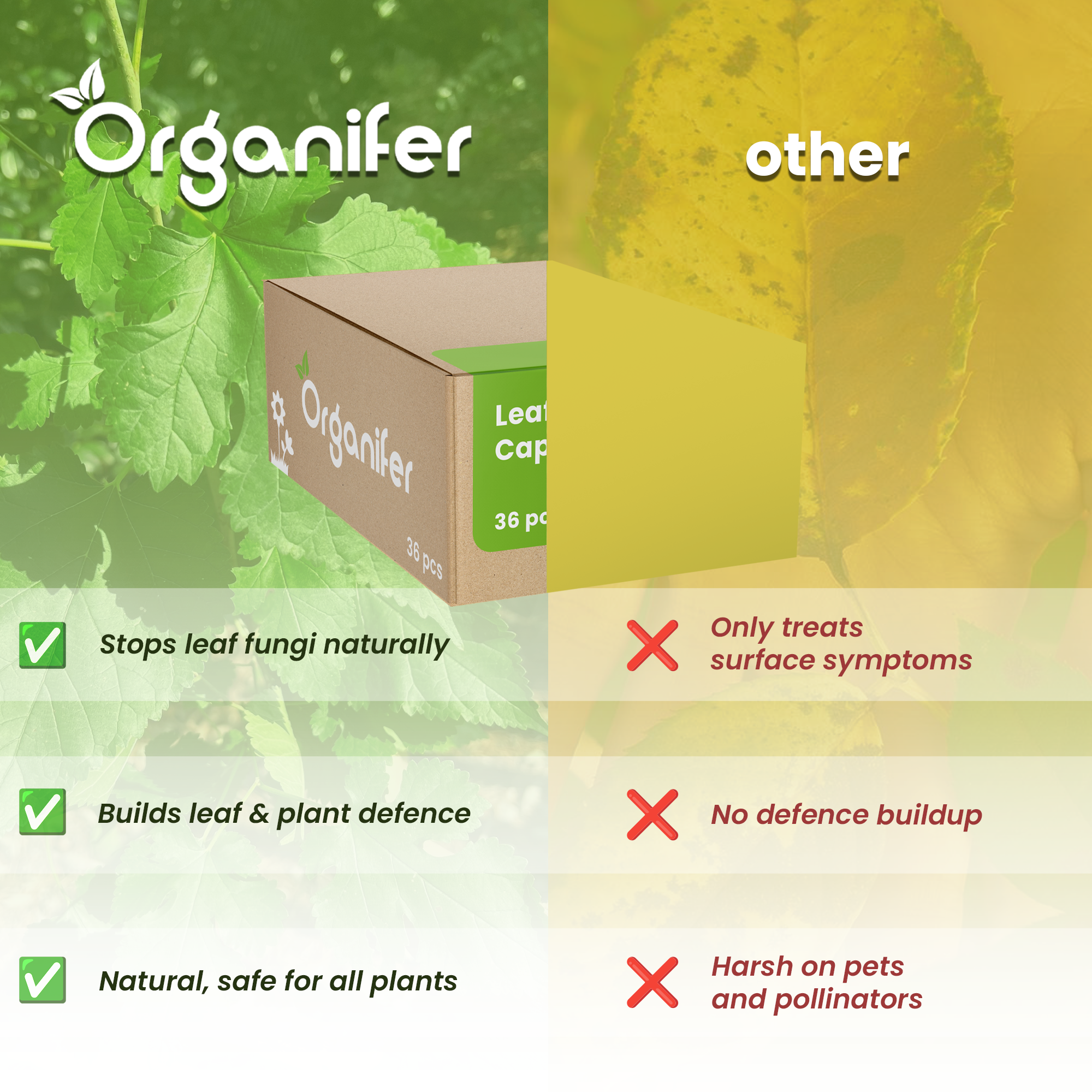 Leaf Diseases comparison