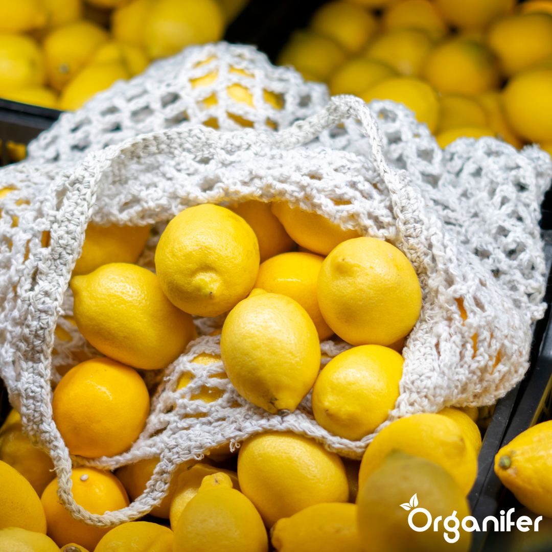 organifer-lemon-tree-liquid-fertiliser-6