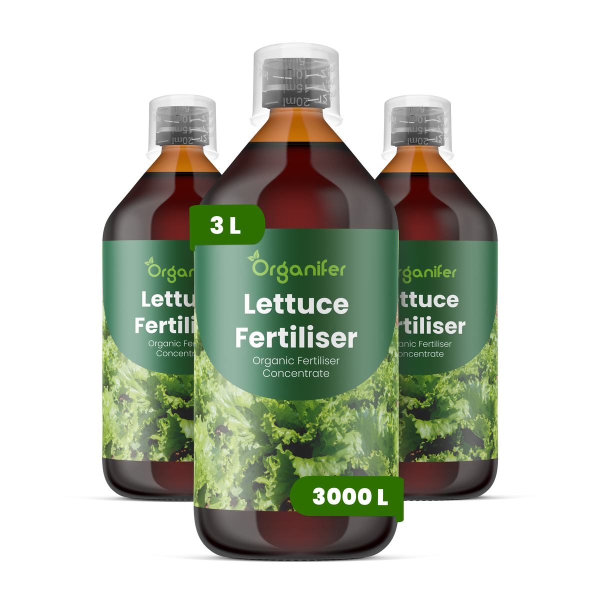 organifer-lettuce-liquid-fertilise