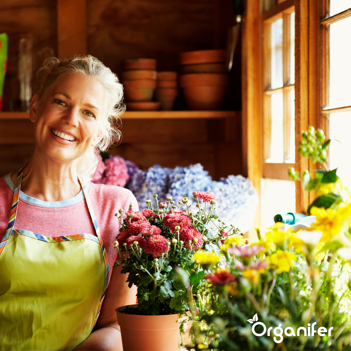 Frass de Vers de Farine - Granulés d'Engrais Insecte (40x = 800kg – pour 8000m2)