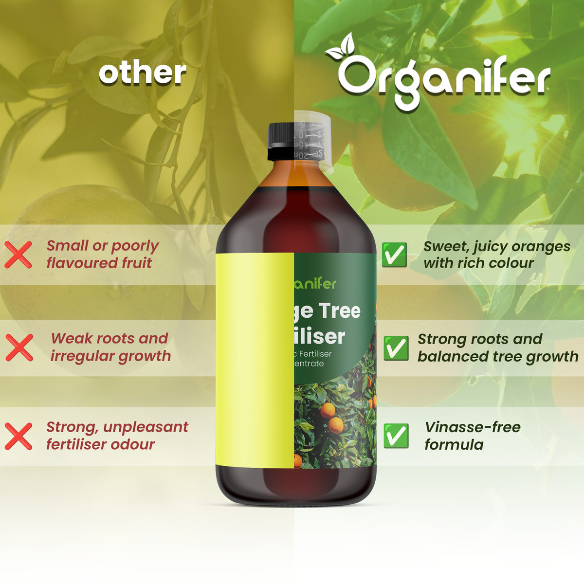 orange_tree_comparison_english