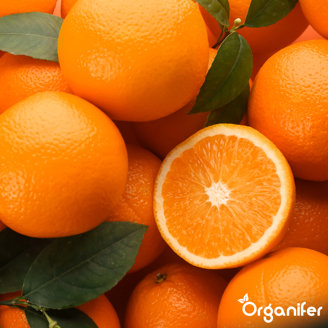 organifer-orange-tree-liquid-fertiliser-3