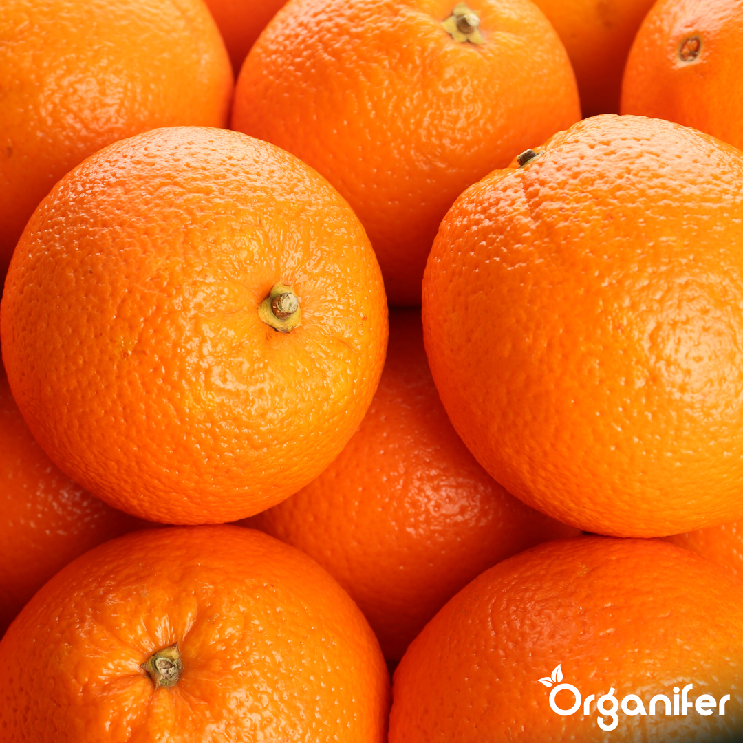 organifer-orange-tree-liquid-fertiliser