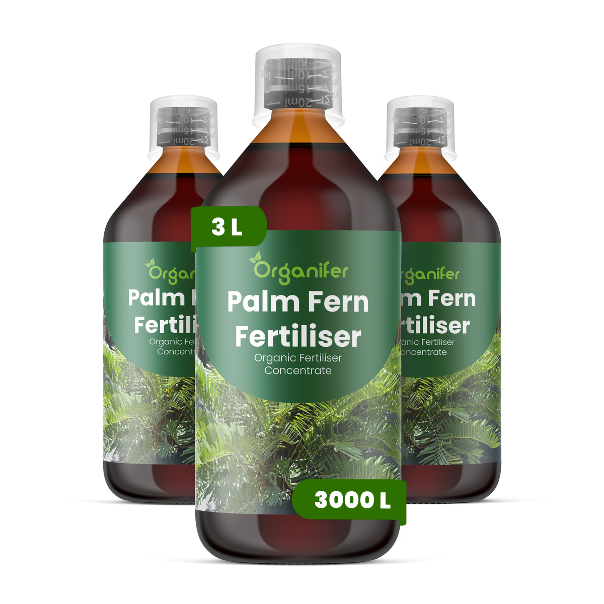 organifer-palm-fern-liquid-fertiliser