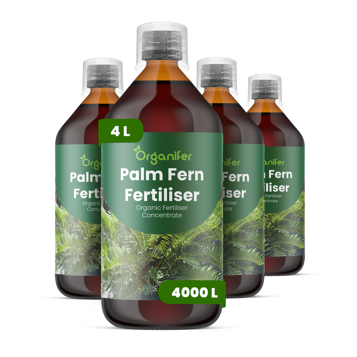 organifer-palm-fern-liquid-fertiliser