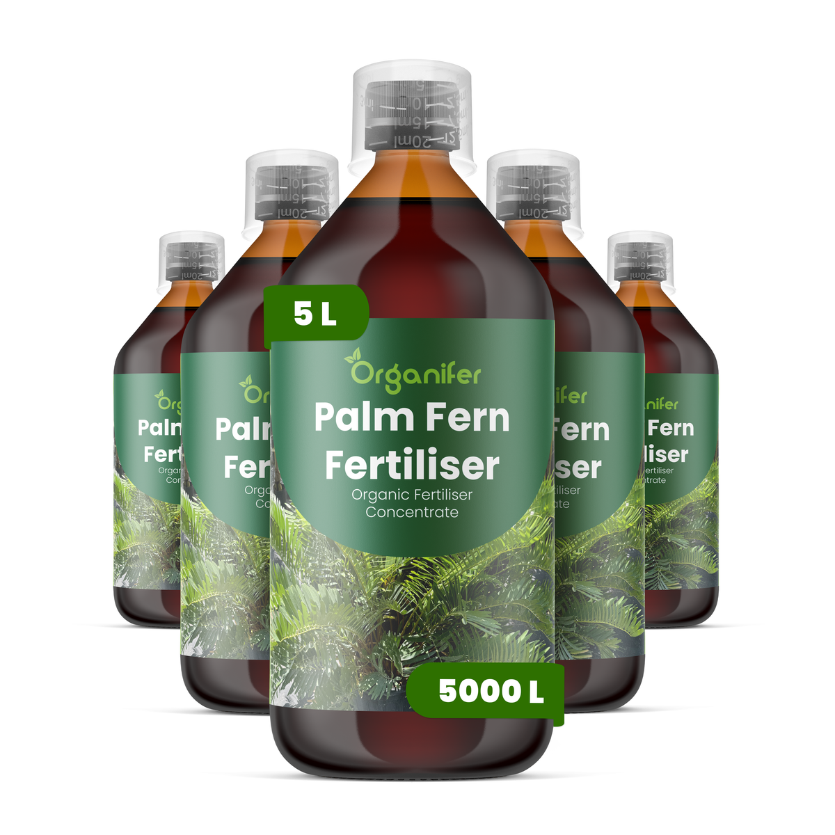 organifer-palm-fern-liquid-fertiliser