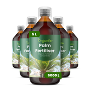 organifer-palm-liquid-fertiliser
