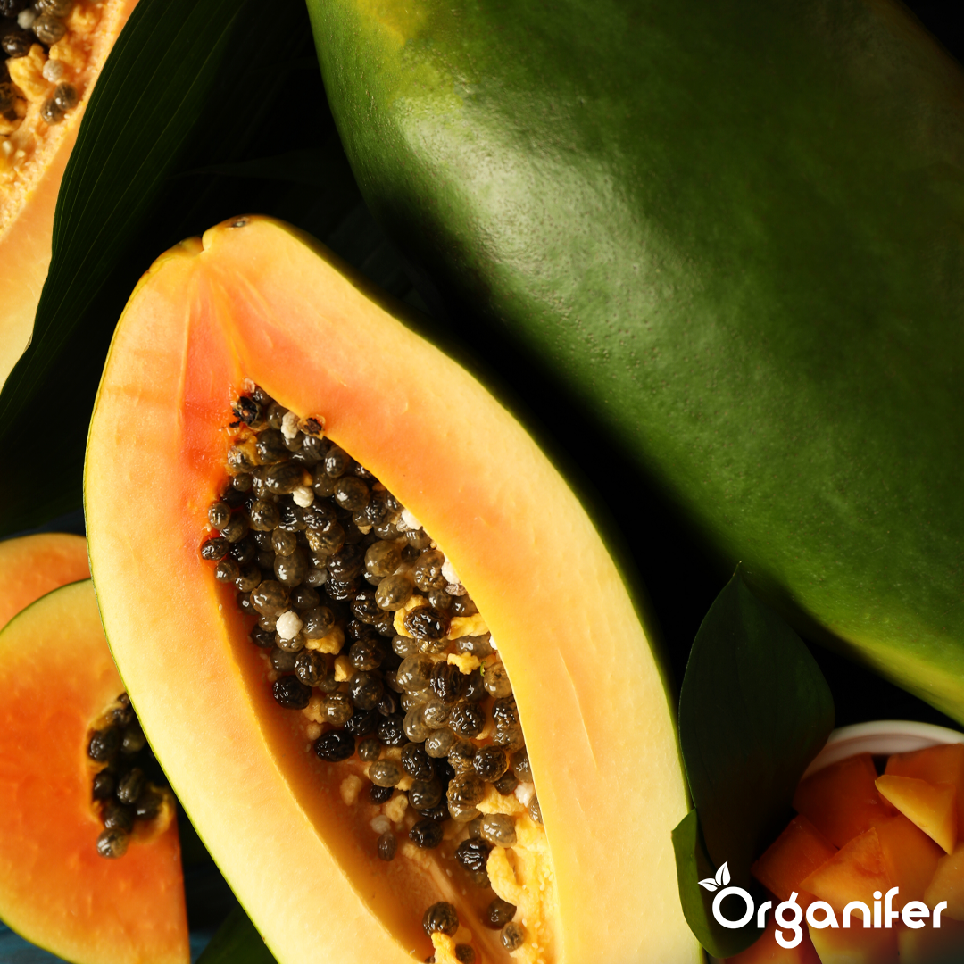 organifer-papaya-liquid-fertiliser