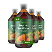 organifer-papaya-liquid-fertiliser