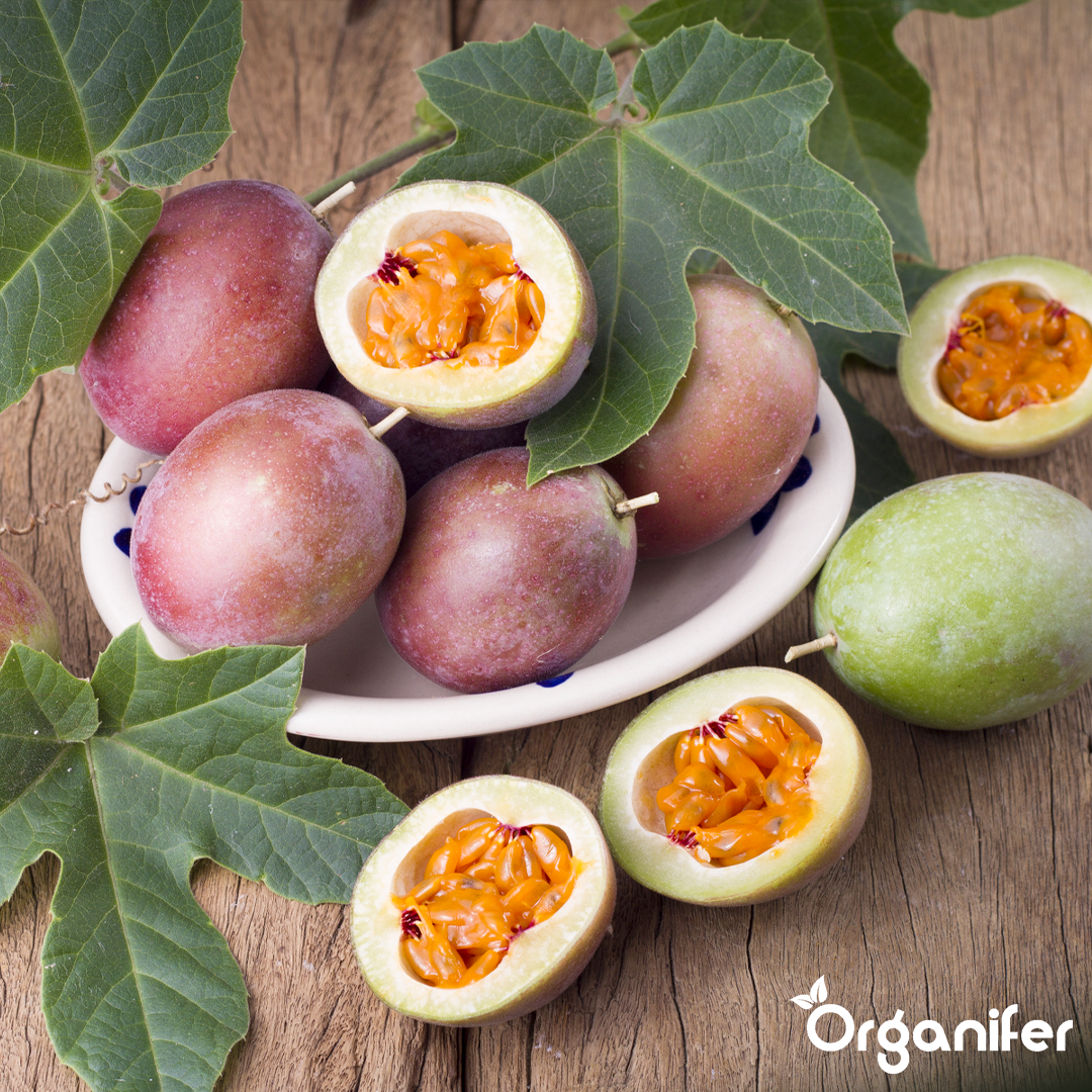 organifer-passion-fruit-liquid-fertiliser
