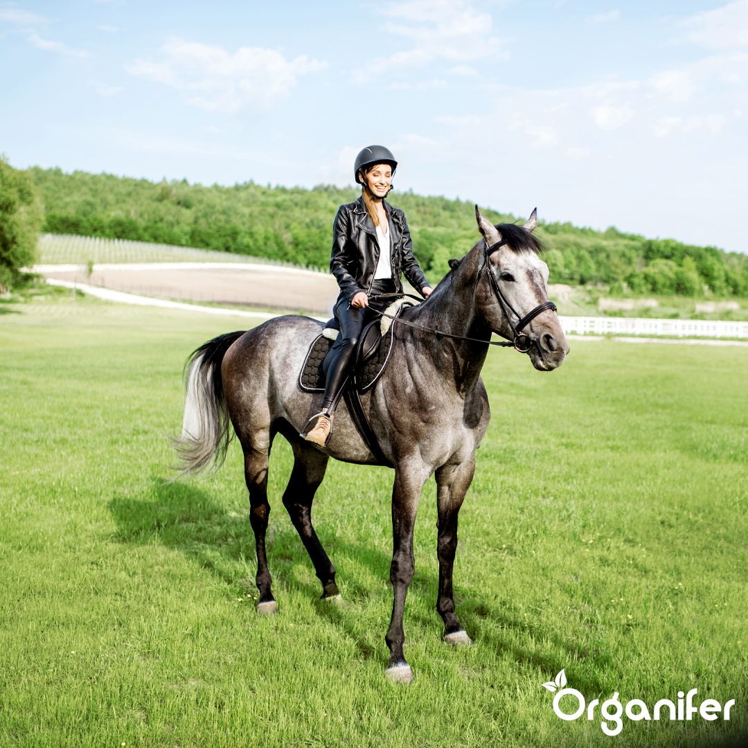 organifer-pasture-grass-seed-paddock