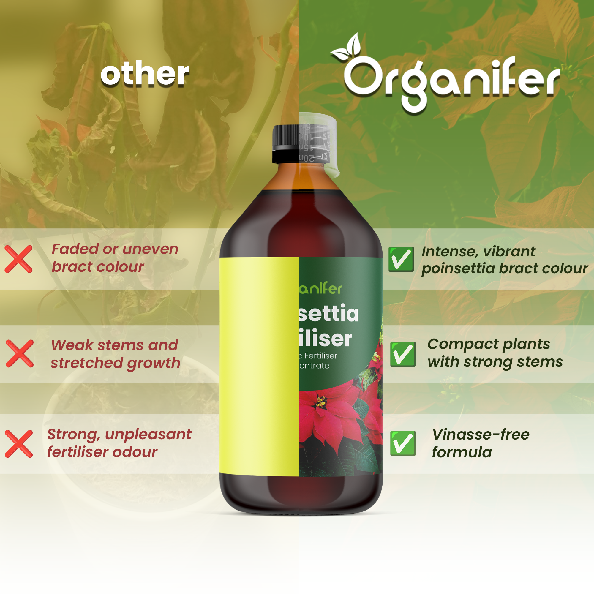 organifer-poinsettia_comparison_english