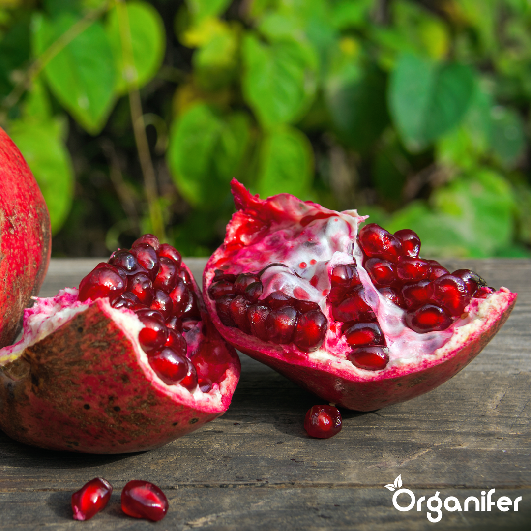 organifer-pomegranate-liquid-fertiliser-1l
