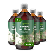 organifer-pothos-liquid-fertiliser-4l