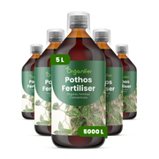 organifer-pothos-liquid-fertiliser-5l