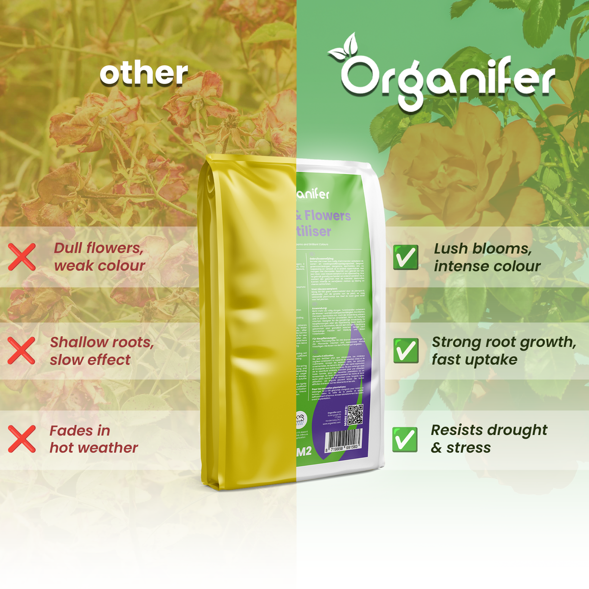 Roses & Flowers Fertiliser All-In-One Compare