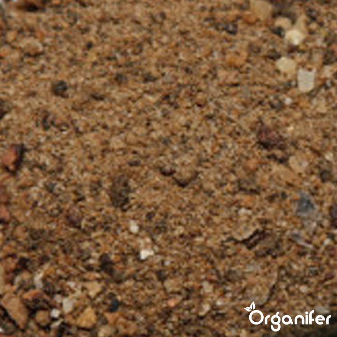 Roses & Flowers Fertiliser 10
