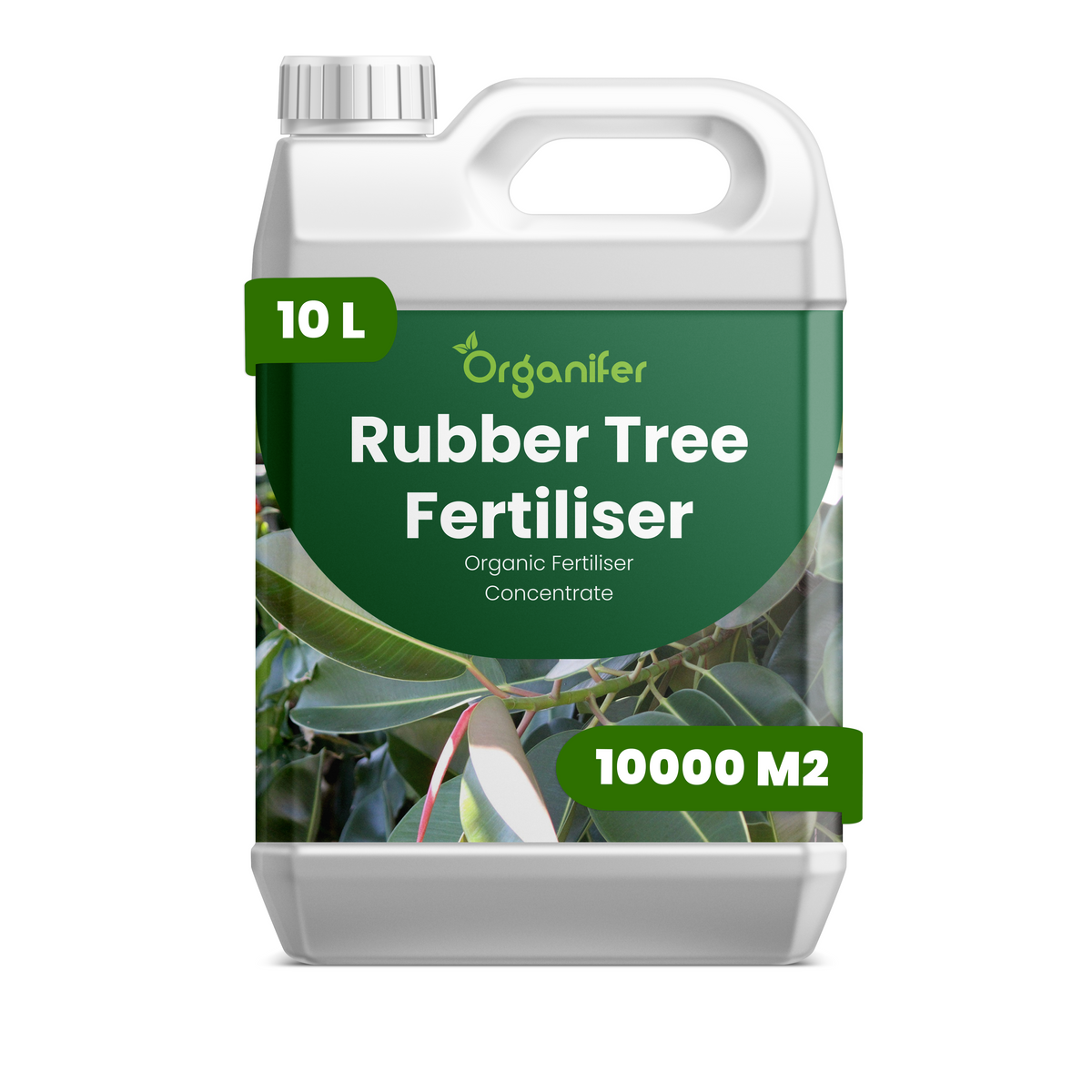 organifer-rubber-tree-liquid-fertiliser-10l
