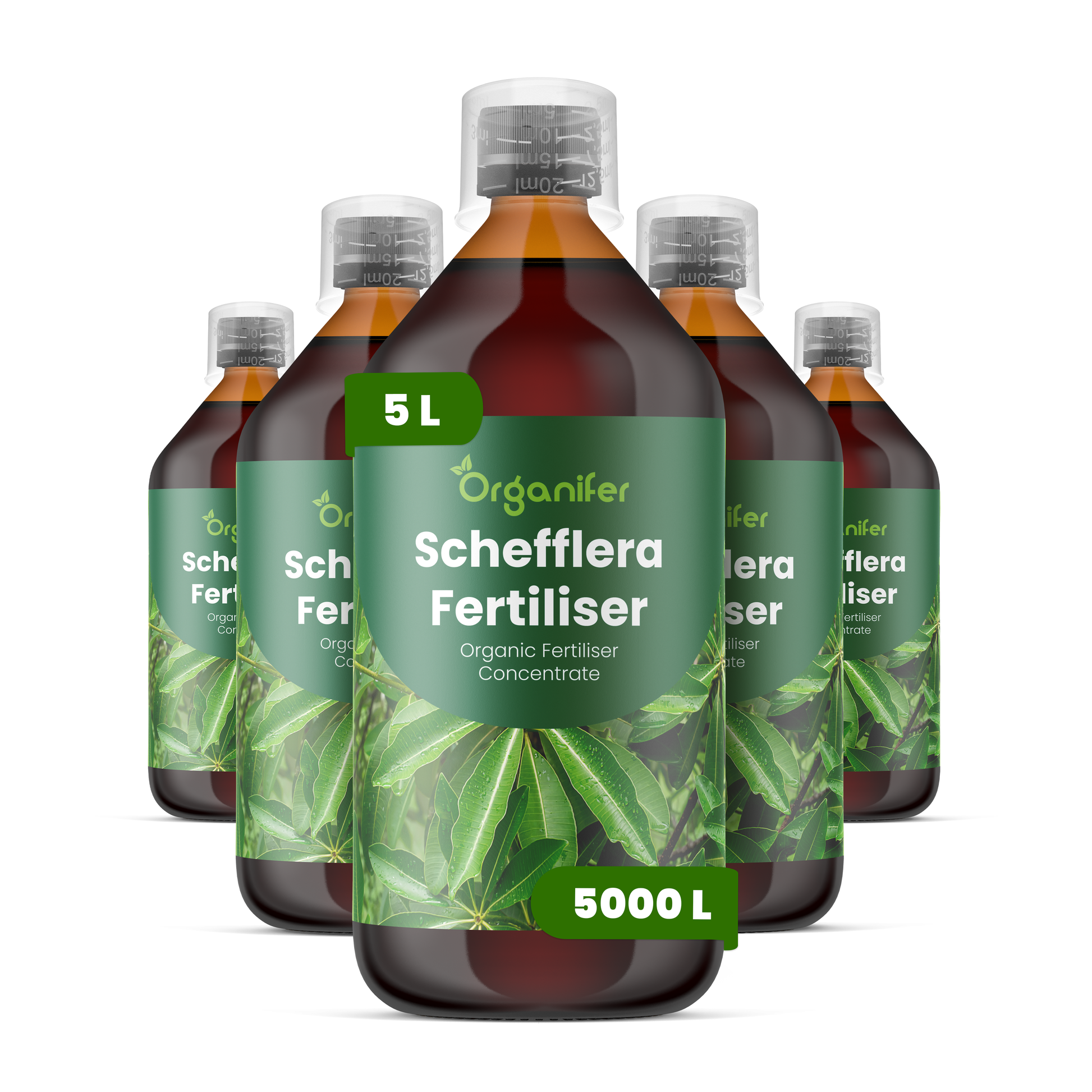 organifer-schefflera-liquid-fertiliser-5l