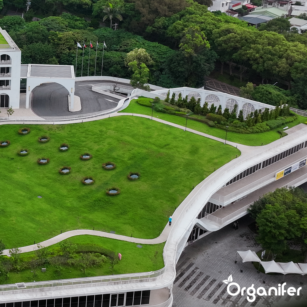 Sedum Roofs and Green Roofs Fertilizer 7