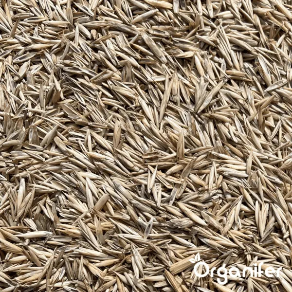 Organifer Shadow Lawn Grass Seed - Elegant (10x = 150 kg for 7500 m2) 8719958990814 4