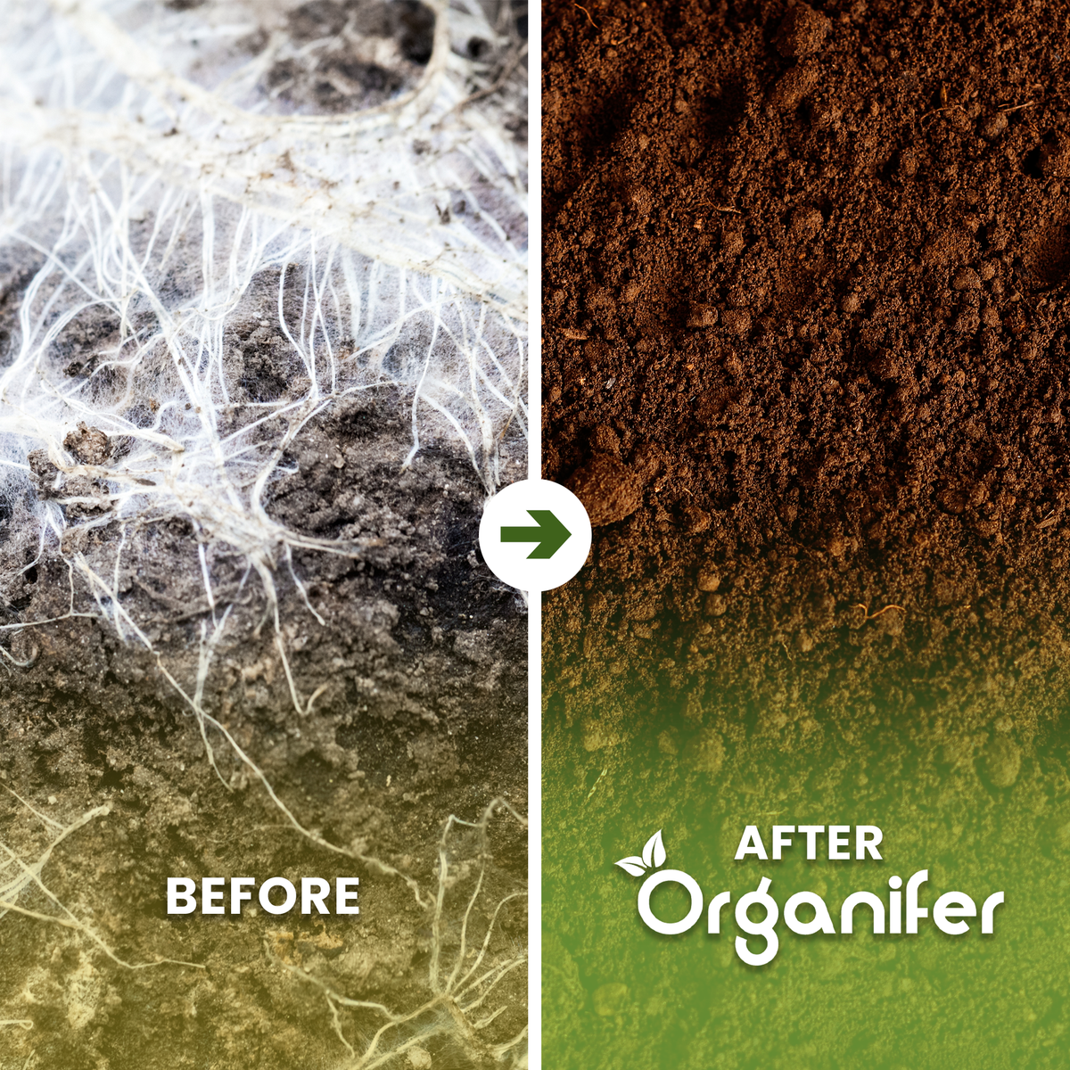 Organifer Soil Fungi Ground Fungus Concentrate - 10 l for 10.000 m2 8719958995680 2
