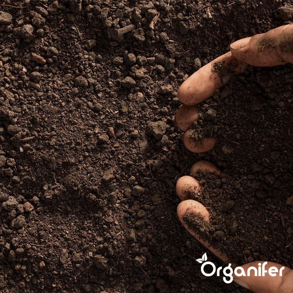 Organifer Soil Improver - Activator Mix (50x = 2500 liters - for 2500 m2) 8719958990722 6