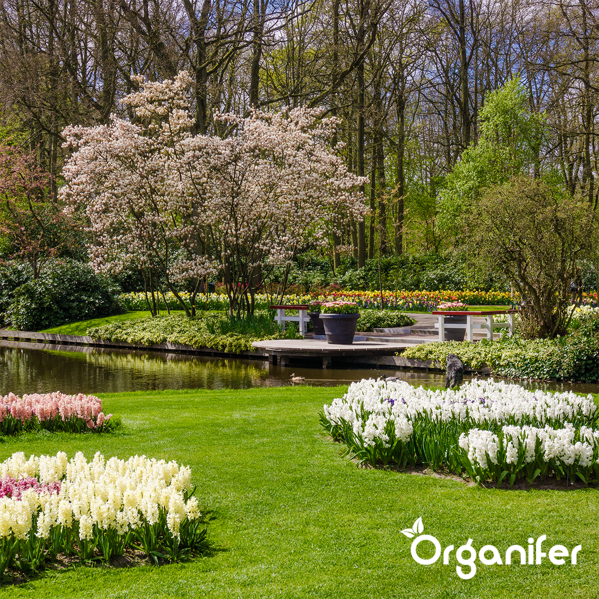 Organifer Soil Improver - Activator Mix (Big Bag 1000 l - for 1000m2) 8719958993709 5