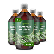 organifer-spider-plant-liquid-fertiliser-4-liter
