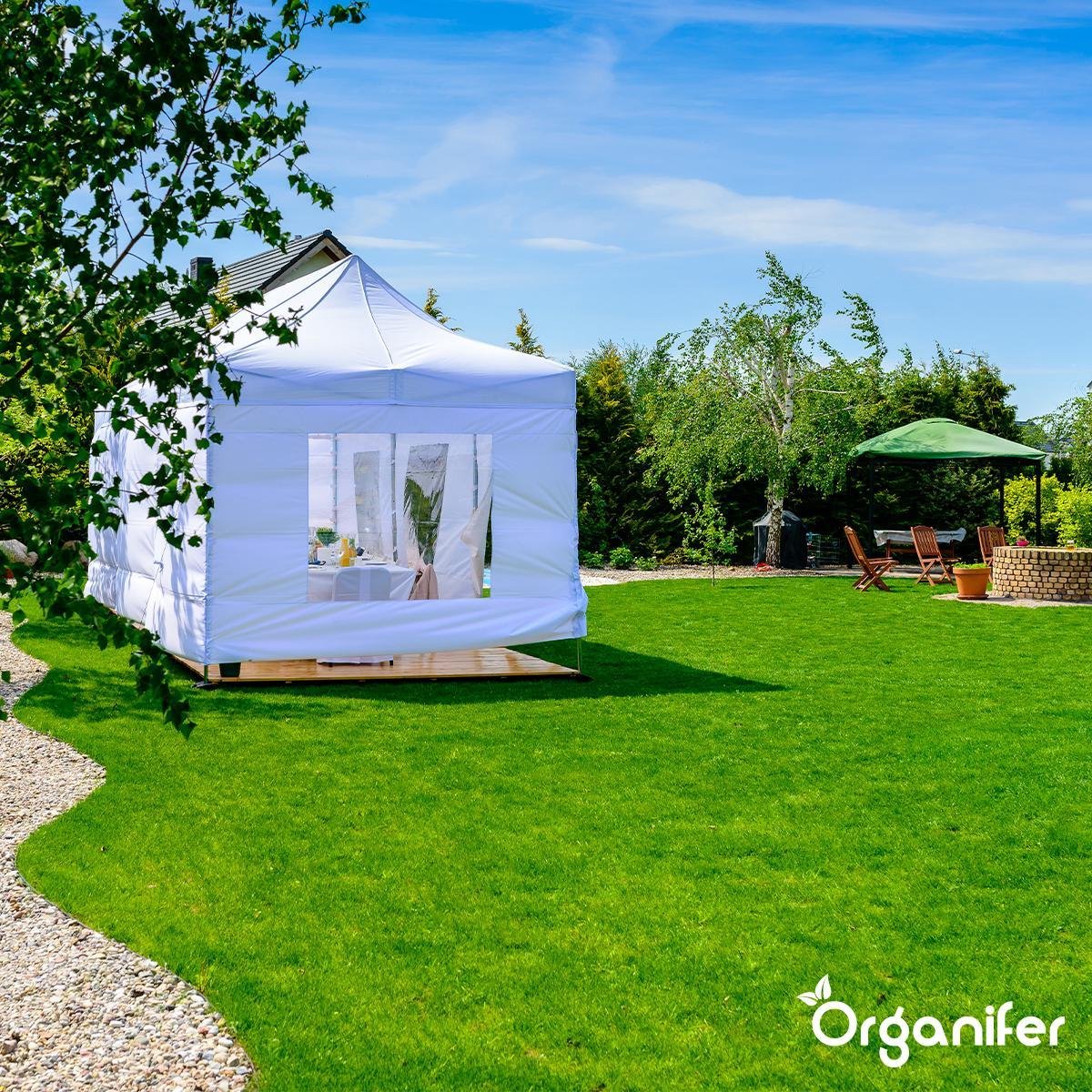 organifer-sports-and-play-lawn-seed-Resilient-3