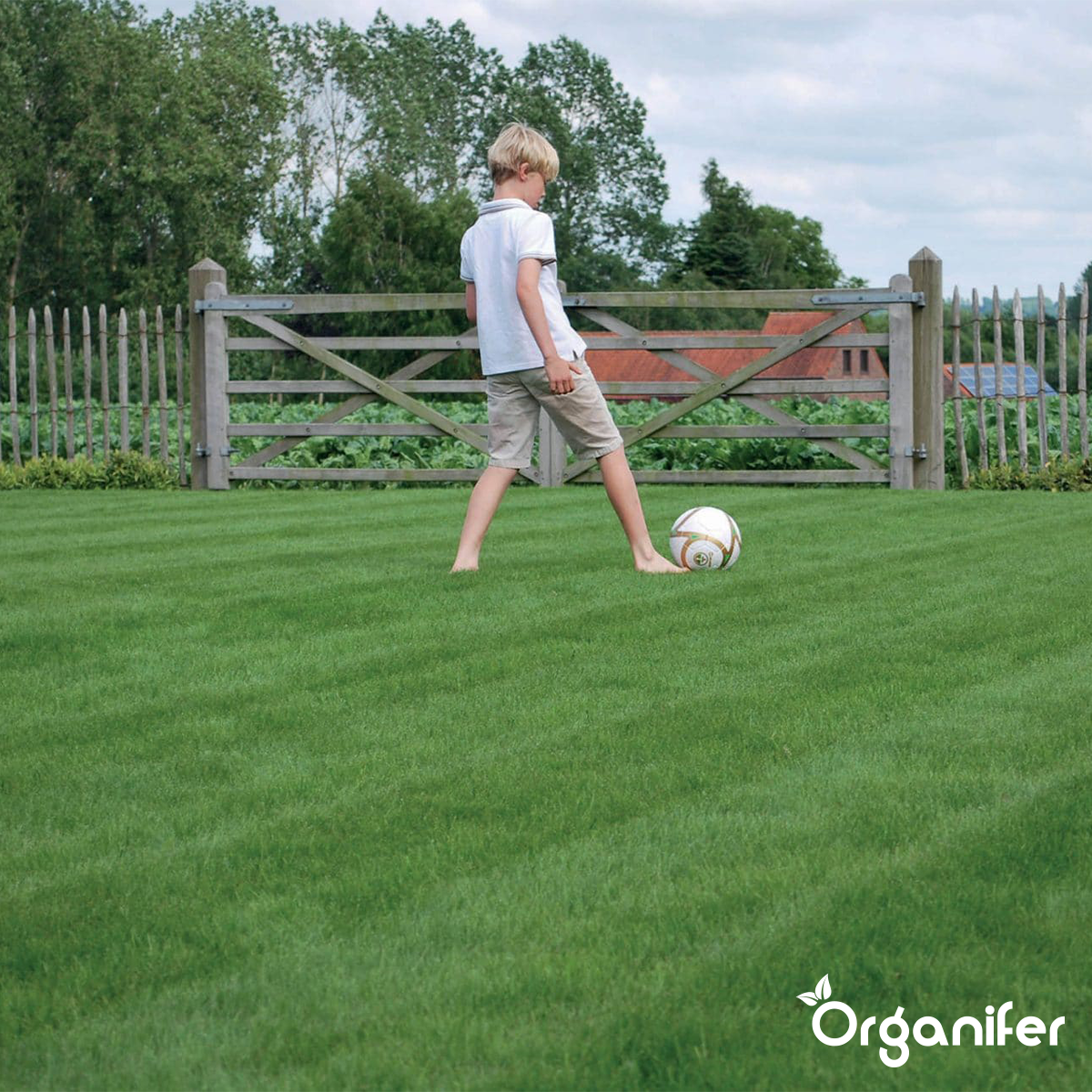 organifer Speel en Sport gazon