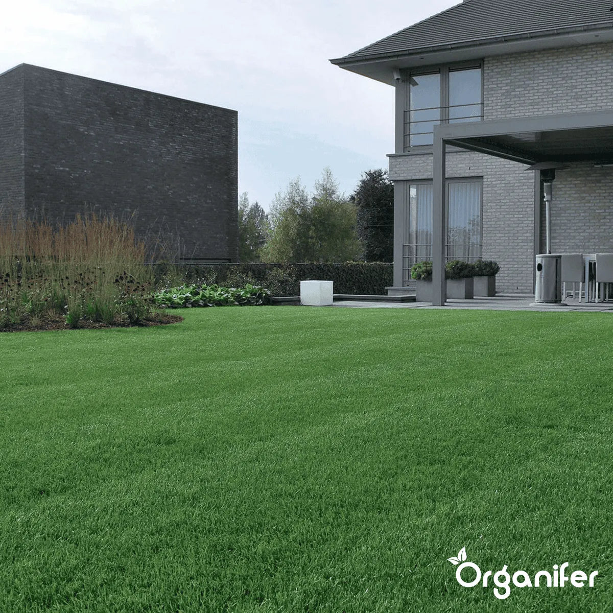 Siergazon Graszaad Organifer