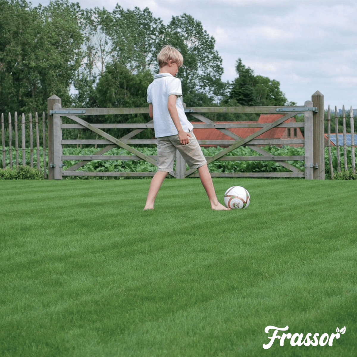 Organifer Sports and Play Lawn Seed - Resilient (5 kg for 250 m2) 8719958993945 5