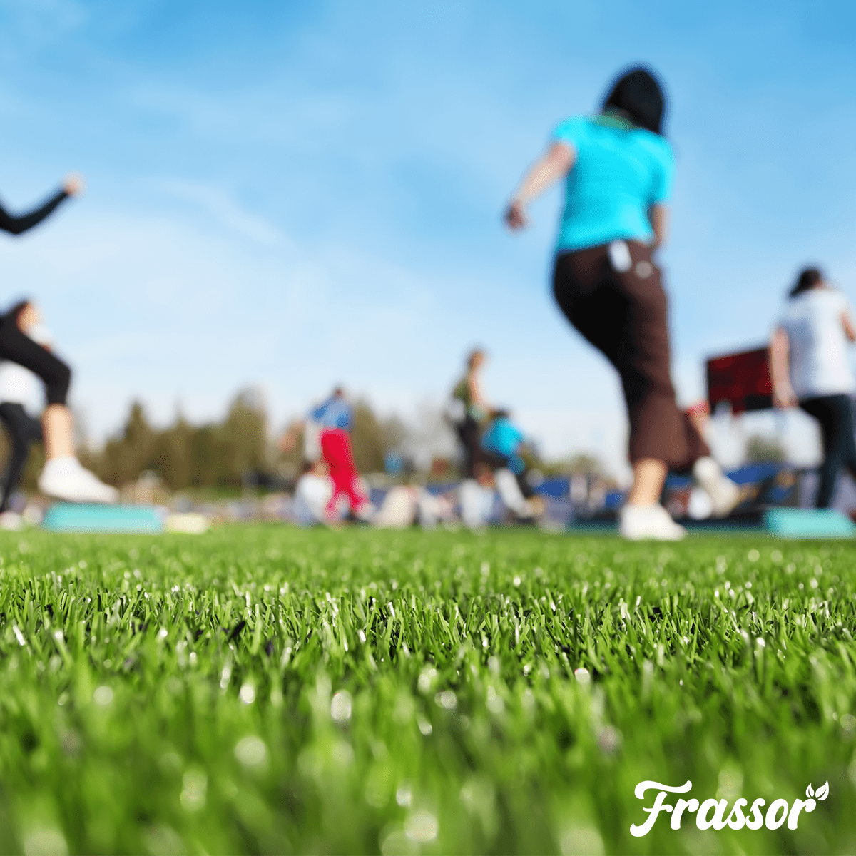 Organifer Sports and Play Lawn Seed - Resilient (5 kg for 250 m2) 8719958993945 7