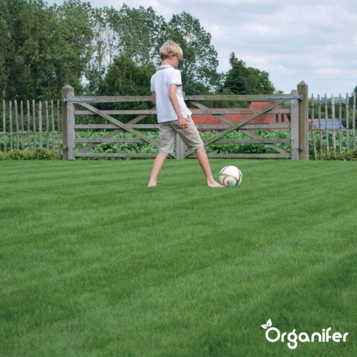organifer-sports_and_play_lawn_seed_resilient