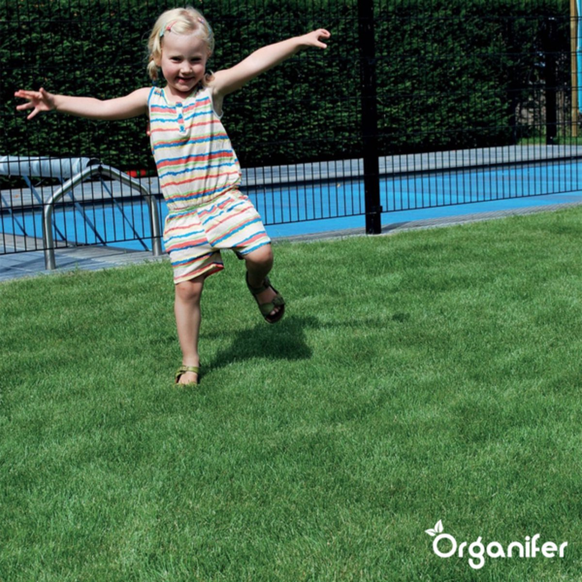 organifer-sports_and_play_lawn_seed_resilient