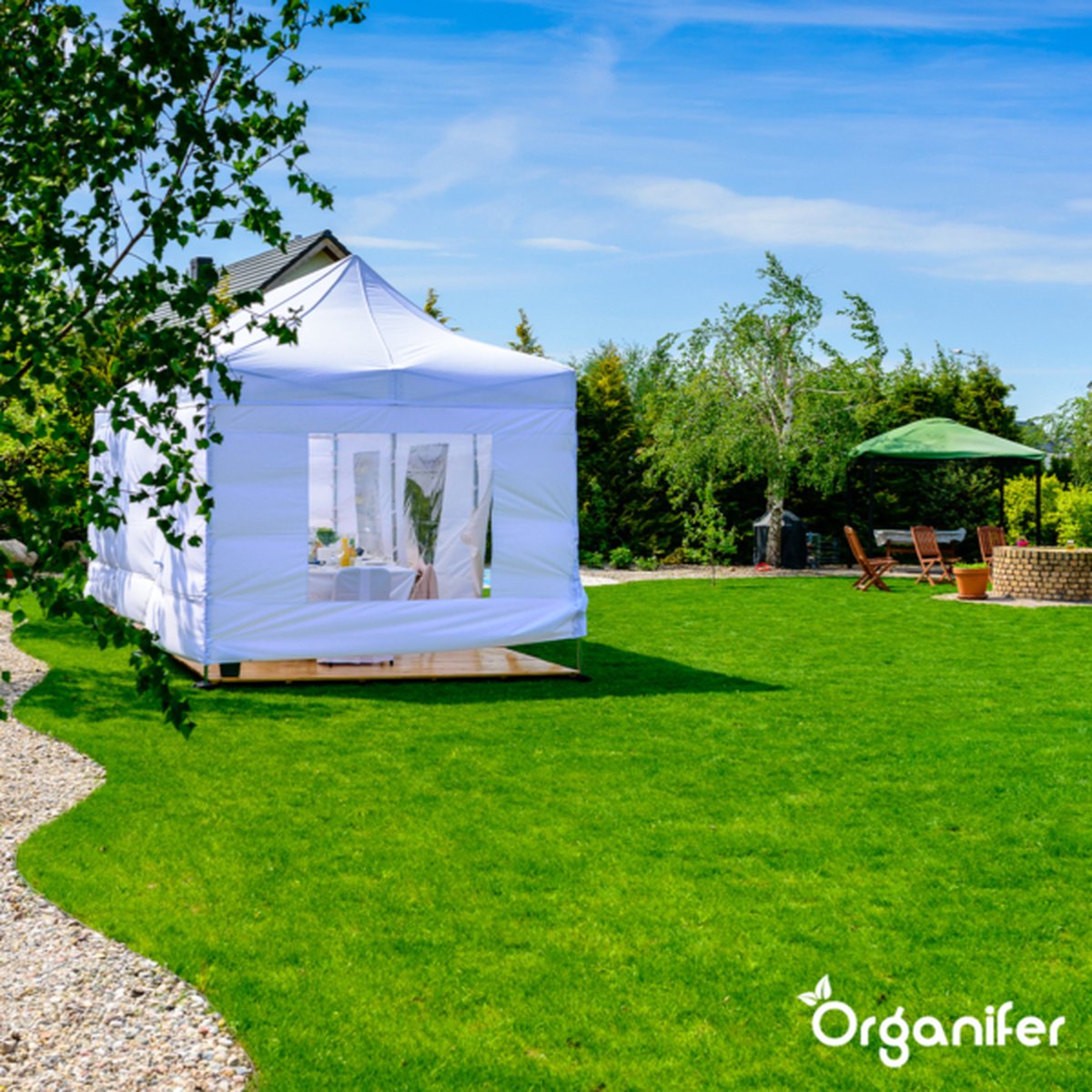 organifer-sports_and_play_lawn_seed_resilient