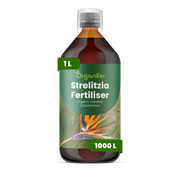 organifer-strelitzia-liquid-fertiliser