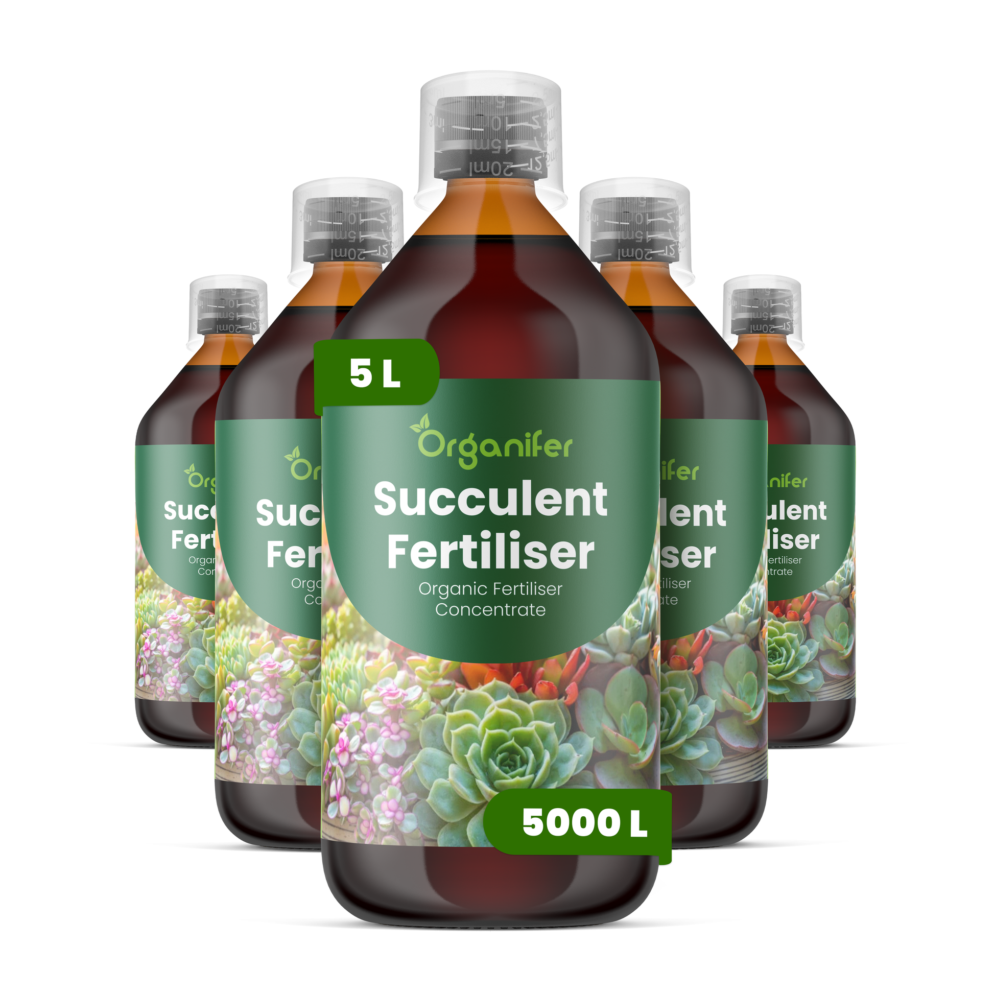 organifer-succulenti-liquid-fertiliser-5l