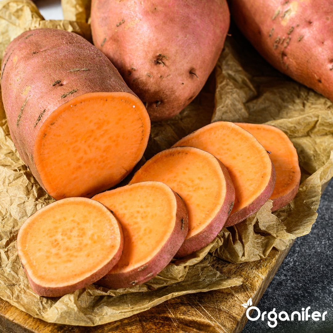 organifer-sweet-potato-liquid-fertiliser