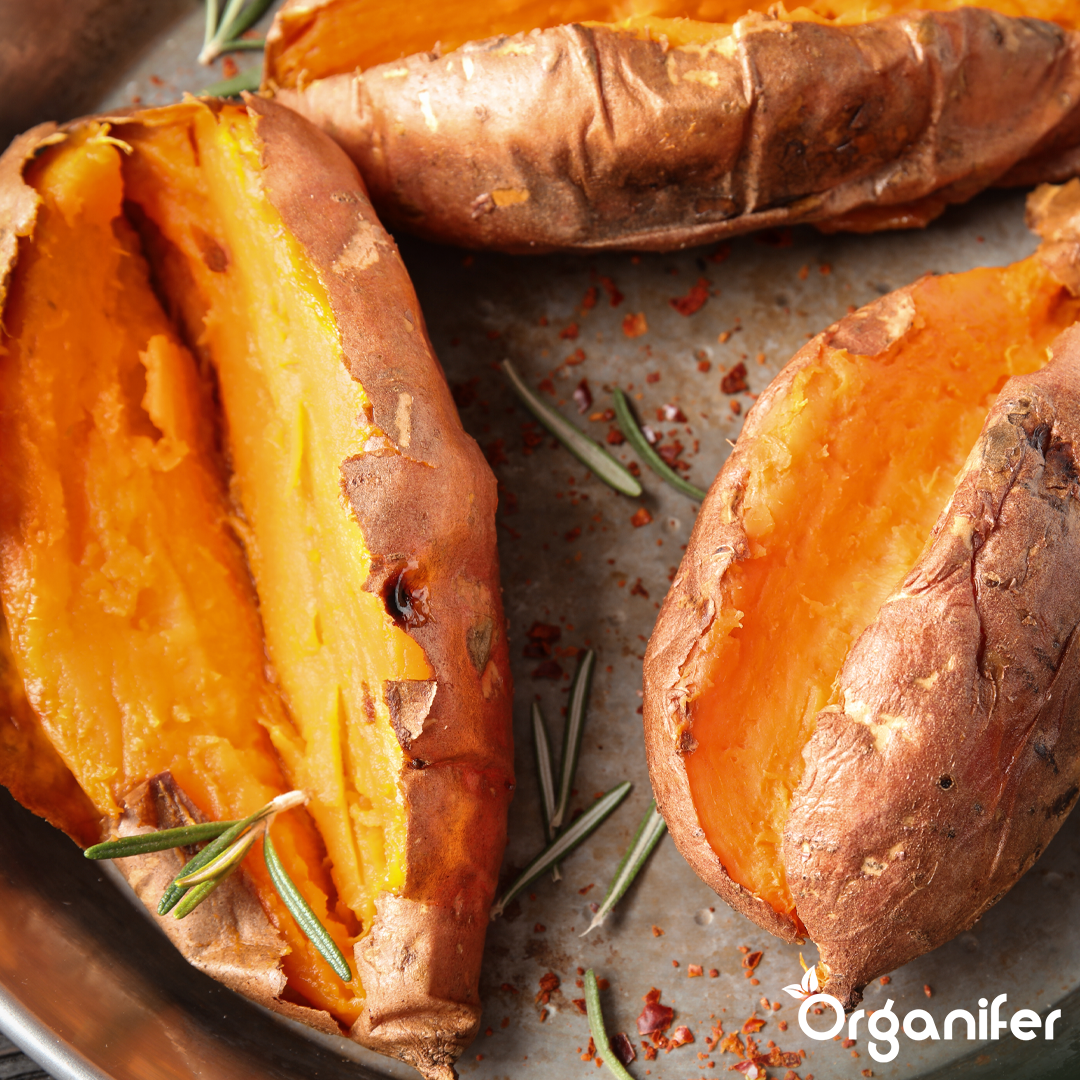 organifer-sweet-potato-liquid-fertiliser