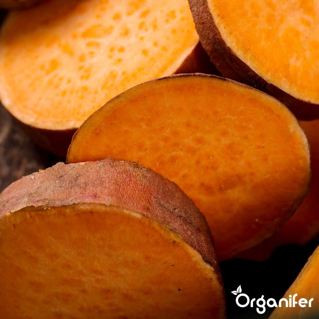 organifer-sweet-potato-liquid-fertiliser