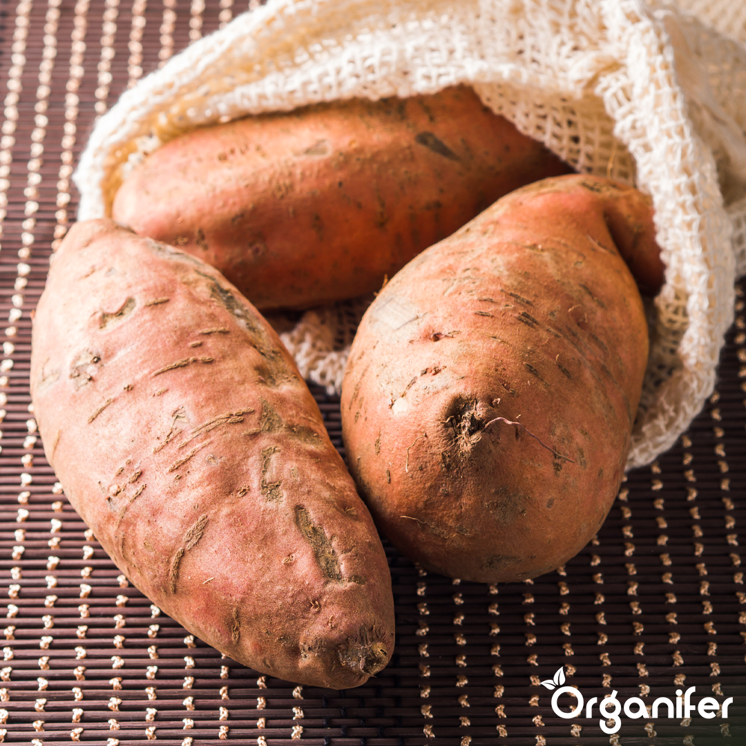 organifer-sweet-potato-liquid-fertiliser